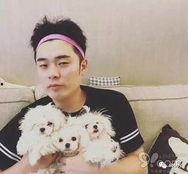 陈赫曹璐最新爆料,揭秘娱乐圈背后的惊人真相