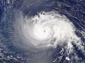 台风大爆料宁波视频最新