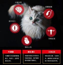 料理猫爆料视频大全集最新,揭秘美食背后的秘密与技巧