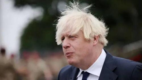 约翰逊最新疫情爆料,揭秘病毒变异与全球防控挑战