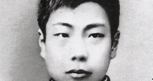 鲁迅最新爆料事件视频全集,揭秘历史真相，视频全集深度解析