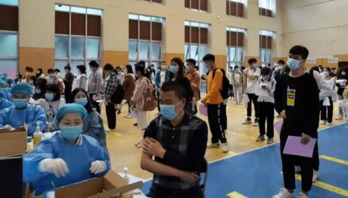 iqooz6国内最新爆料消息,性能升级，设计革新，全面解析最新旗舰亮点”