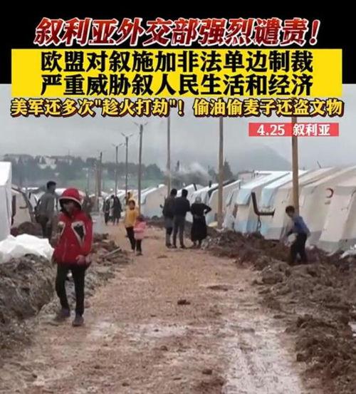 叙利亚最新局势新爆料,新爆料揭示战火背后的真相